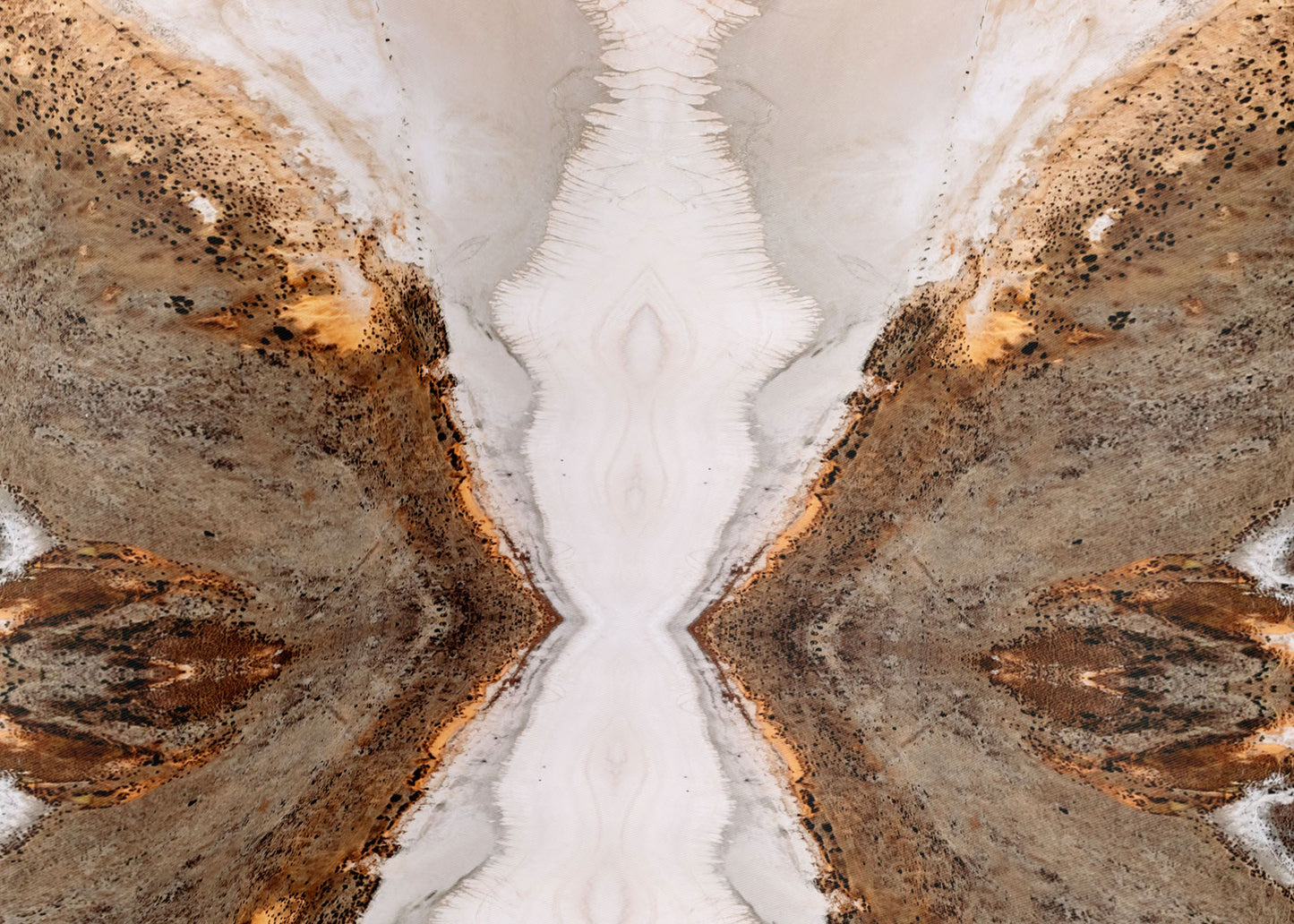 Demi Limited Edition Silk Scarf - 89x89cm | A/W 2023 Collection (NZ)