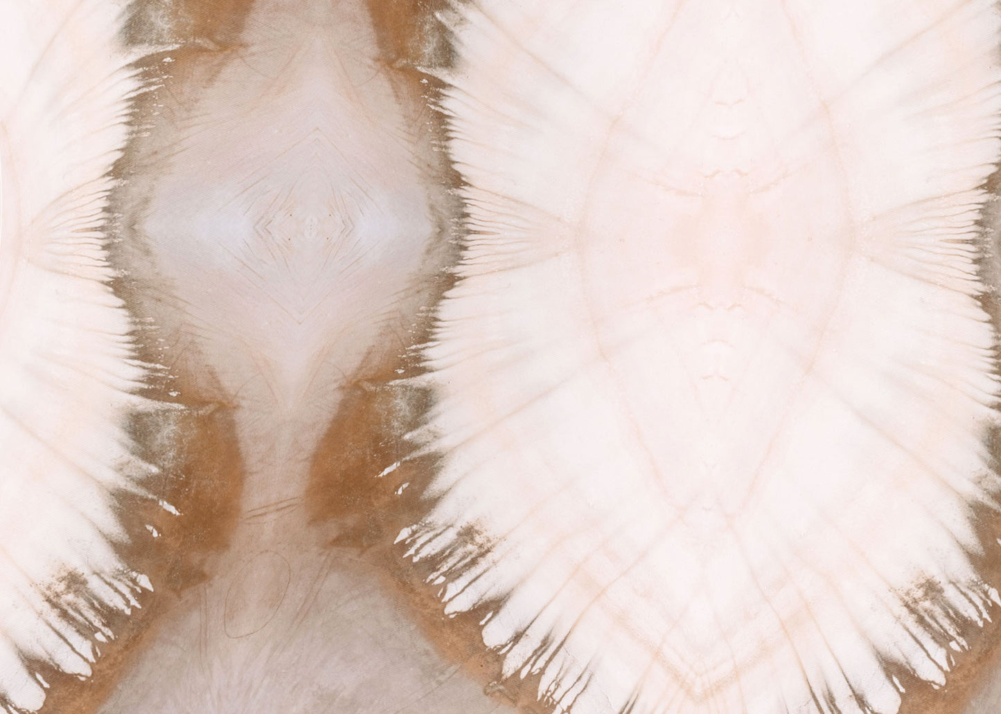 Thea Limited Edition Silk Scarf - 89x89cm | A/W 2023 Collection (NZ)