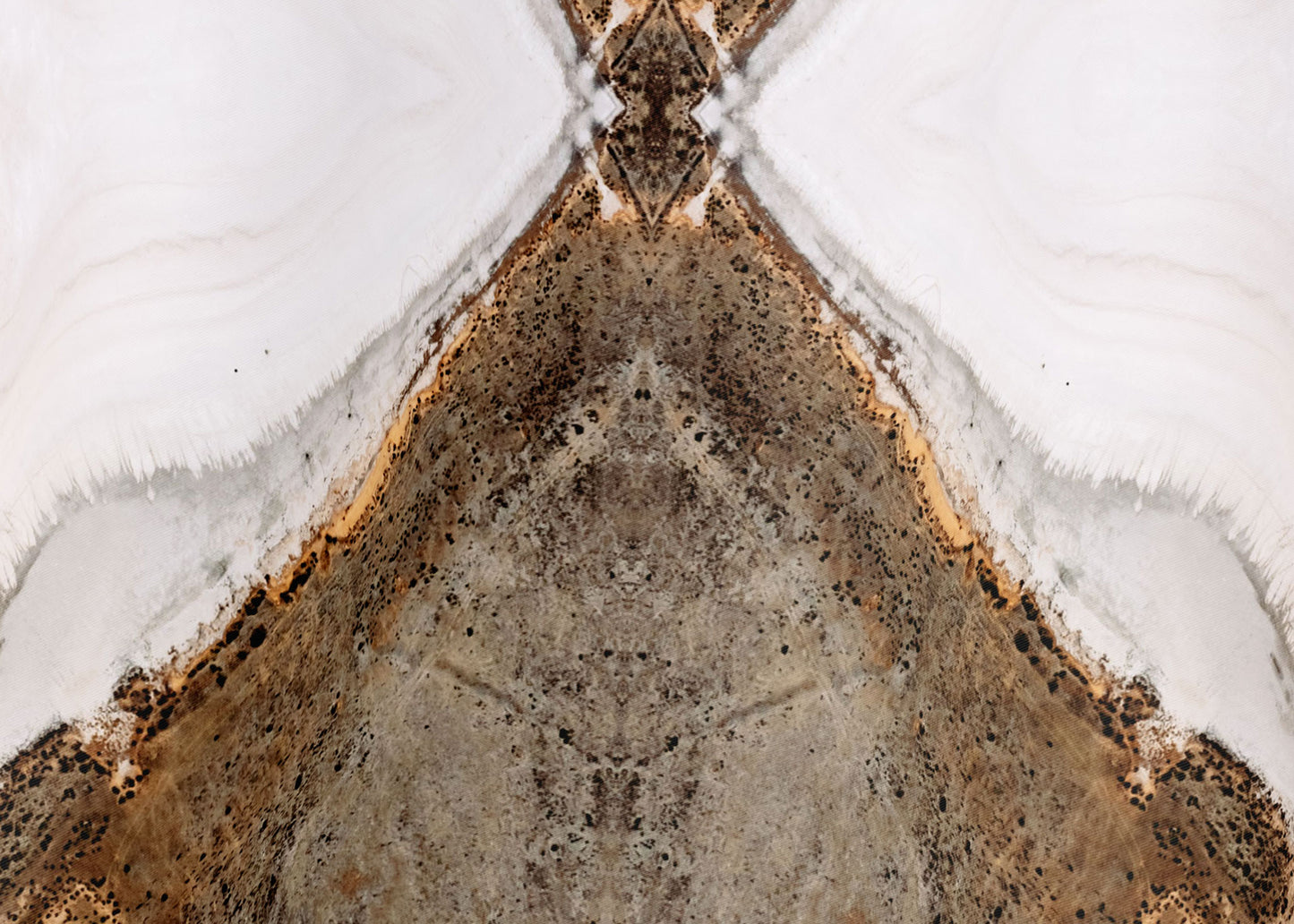 Zoe Limited Edition Silk Scarf - 89x89cm | A/W 2023 Collection (NZ)