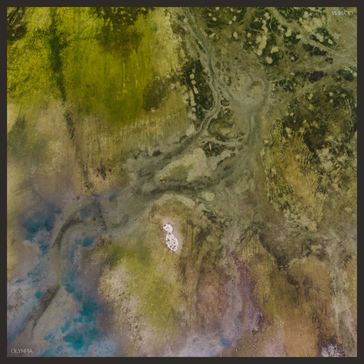 Luma Scarf (Limited Edition) - 89x89cm Silk Twill - Limited Edition