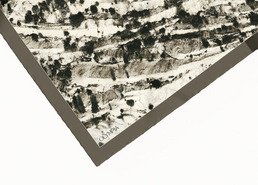 Rue Scarf (Limited Edition) - 89x89cm Silk Twill