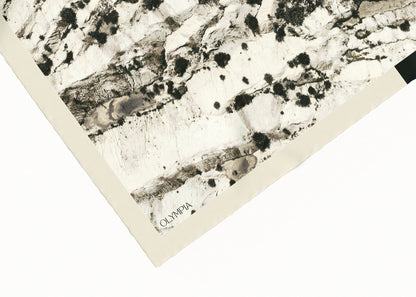 Rue Scarf (Limited Edition) - 89x89cm Silk Twill